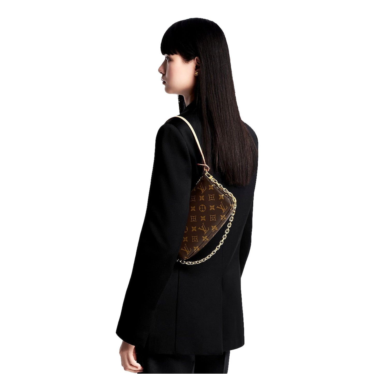 Louis Vuitton Chain Pochette Accessoires NM Monogram Canvas Brown